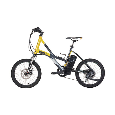 OEM ফ্যাসিয়াল গান ব্যাটারি 24V 2600Mah বৈদ্যুতিক সাইকেল অপসারণযোগ্য ব্যাটারি